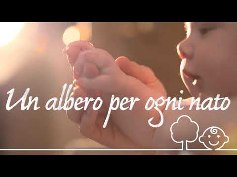 Progetto Firenze Green Smart