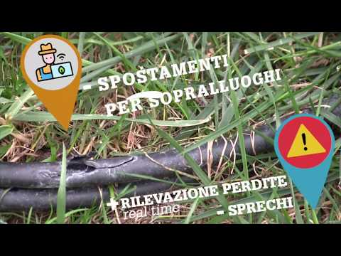 Firenze smart city green